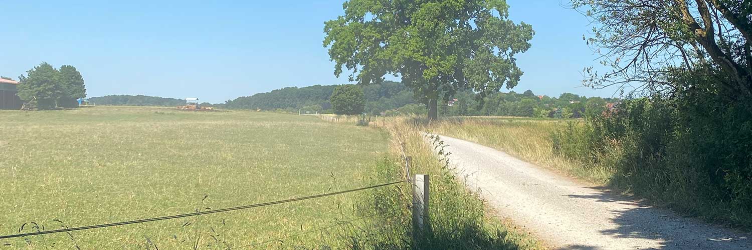 Ein Weg, der zwischen Feldern durchführt, mit Bäumen am rechten Wegrand. Symbolbild für den Weg, den du beginnst zu gehen, ohne das Ende zu sehen: Verbindung schaffen mit Echtheit statt Perfektion. Wachse auf dem Weg.