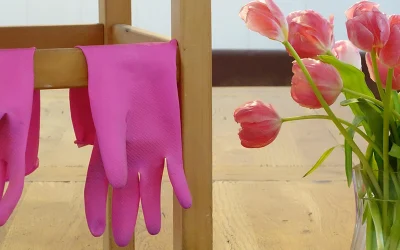 Content-Update: So passen deine Inhalte zu dir und zu deiner Zielgruppe